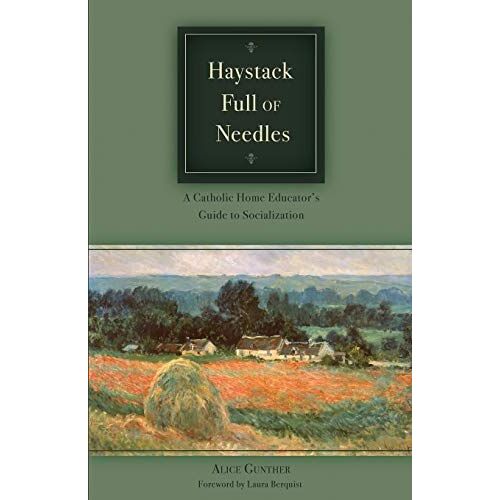 Haystack Full Of Needles: A Catholic Home Educator's Guide To Socialization