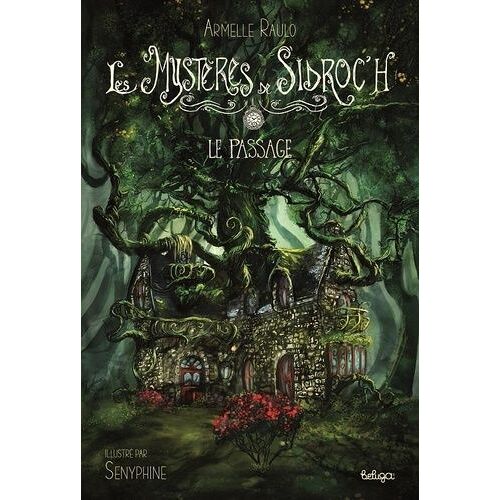Les Mystères De Sidroc'h - Tome 1 - Le Passage