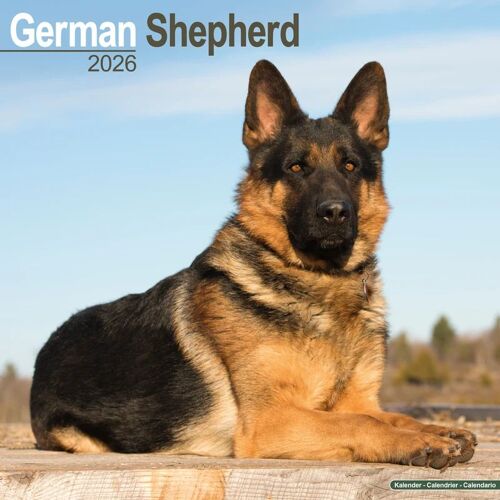 Calendrier Berger Allemand 2026