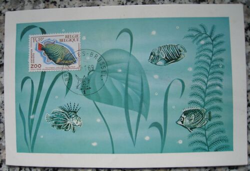 Carte Postale Emission De Timbres-Poste Spéciaux " Solidarité " Zoo D'anvers 1968