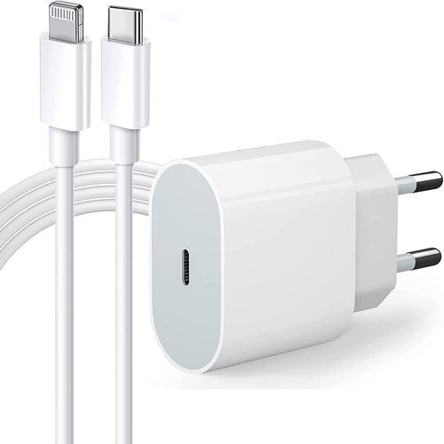 Chargeur Rapide 20w + Cable Usb-C Lightning Pour Iphone 13 / 12 / 11 / Pro / Max / Mini