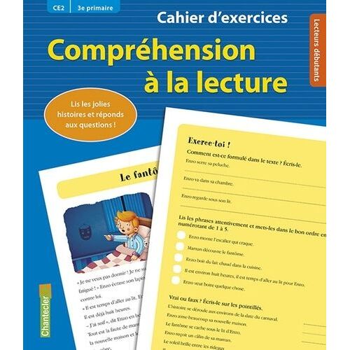 Compréhension À La Lecture Ce2 - Cahier D'exercices