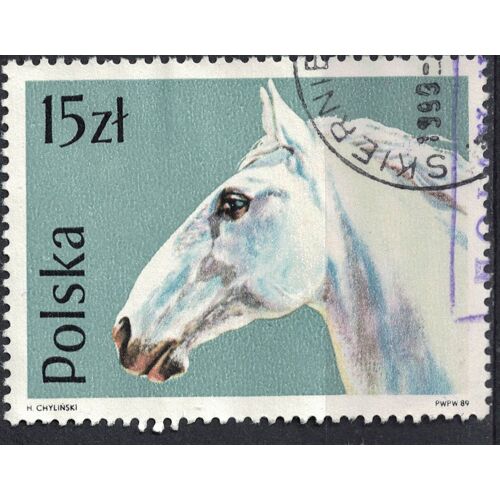 Pologne 1989 Oblitéré Used Tête De Cheval Race Lippizan