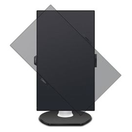 Philips P-line 329P9H - Écran LED - 32" (31.5" visualisable) - 3840 x 2160 4K @ 60 Hz - IPS - 350 cd/m² - 1300:1 - 5 ms - 2xHDMI, DisplayPort, USB-C - haut-parleurs - texture noire