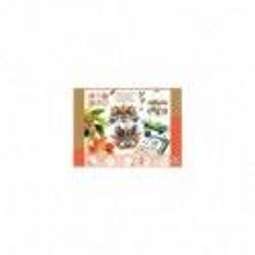 Coffret 5 Activités Nature - Do It Yourself Djeco