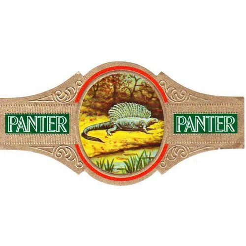 Grosse Bague De Cigare Panter - Edaphosaurus