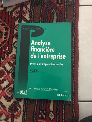 Analyse Financière De L'entreprise - Avec 15 Cas D'application Résolus