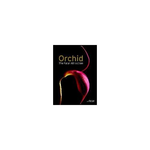 Orchid