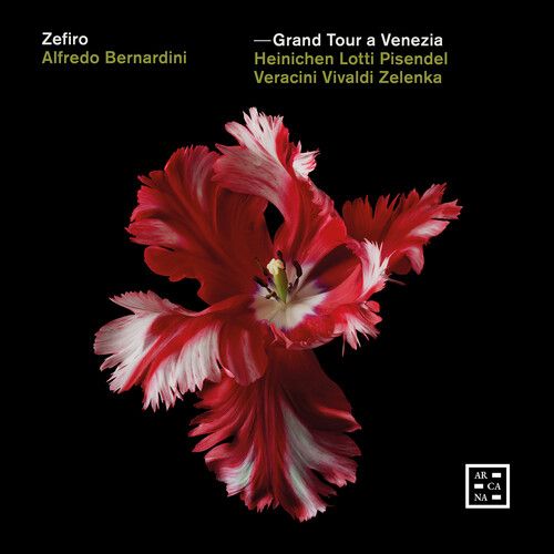 Various Artists - Grand Tour A Venezia [Compact Discs]