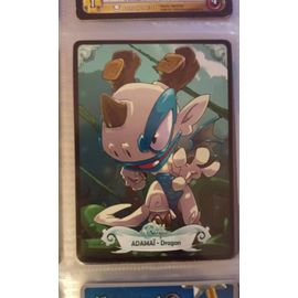 Carte Wakfu Adamaï