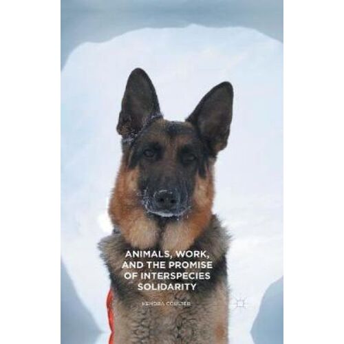 Animals, Work, And The Promise Of Interspecies Solidarity