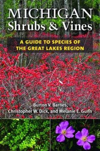 Michigan Shrubs And Vines