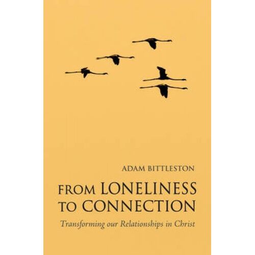 From Loneliness To Connection