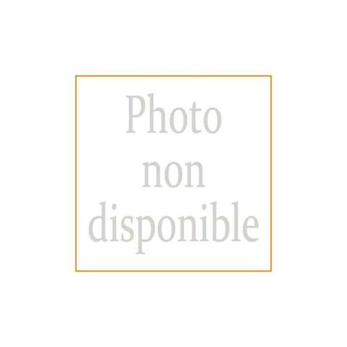 FEIN Étau prismatique pour IBS16 - 90701002010
