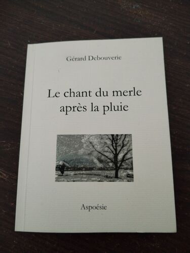 Le Chant Du Merle Apres La Pluie