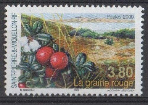 Timbre France Saint-Pierre Et Miquelon 2000 Yvert Et Tellier N°710 La Graine Rouge Neuf** Gomme Intacte