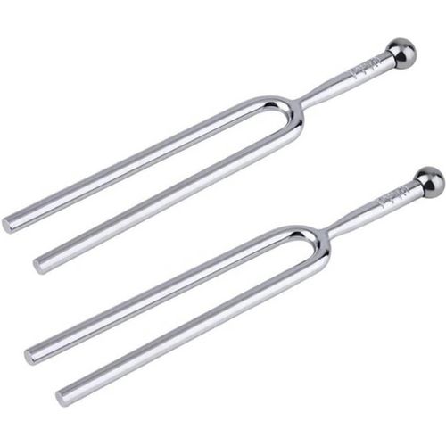 2 Pièces Diapasons Acier Inoxydable A 440 Hz Pour Guitare Enseignement À Domicile Voyage 21,6 X 9,8 X 1 Cm 60 G Son Clair Réglage Précis