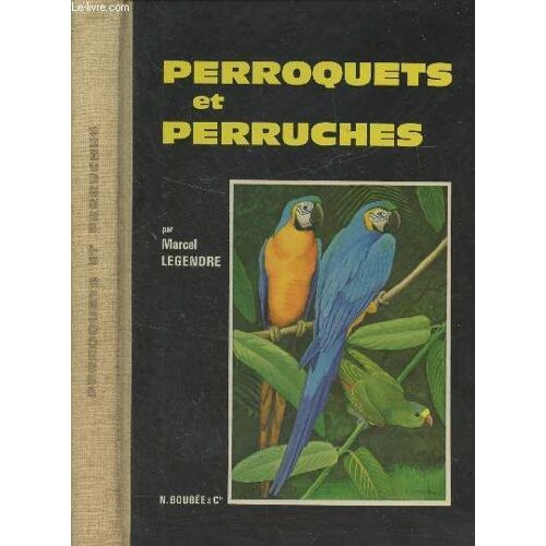 Perroquets Et Perruches