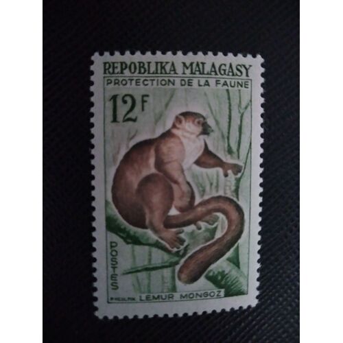 Timbre Madagascar Yt 359 Lémurien Mangouste (Lemur Mongoz) 1961 ( 031207 )