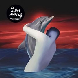 Sinus Amoris - Vinyle - 33 Tours