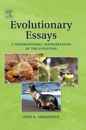 Evolutionary Essays: A Thermodynamic Interpretation Of The Evolution