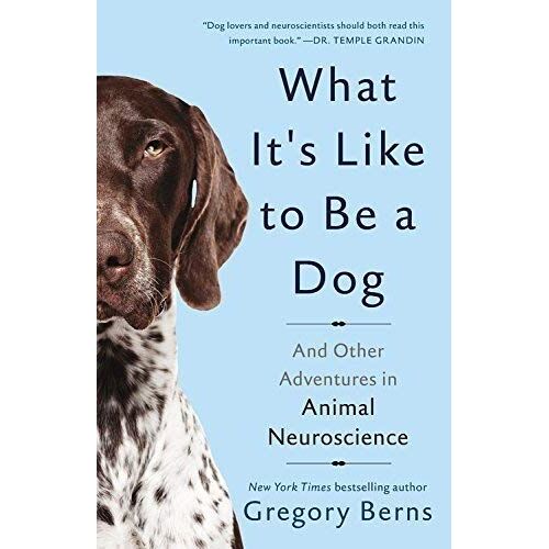 What It's Like To Be A Dog: And Other Adventures In Animal Neuroscience