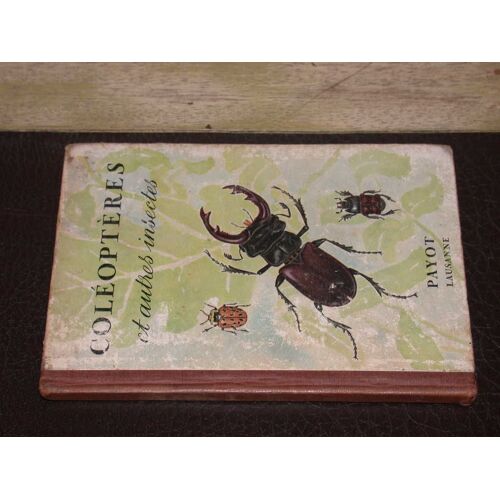 Coléoptères Et Autres Insectes