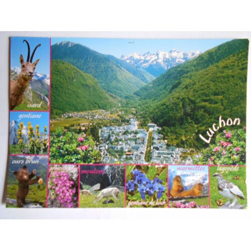 Carte Postale Bagnères De Luchon