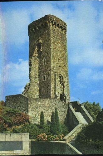 Carte Postale De La Haye Du Puits (Manche) Le Donjon Du Vieux Château