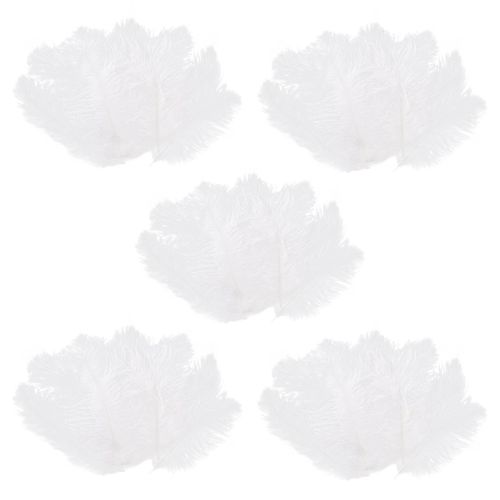 50 Pièces Plume D¿Autruche Naturelle Blanche 20-25cm Mariage Bricolage-Yu