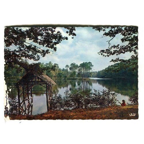 Carte Postale - Etang De Ruffaud - Corrèze - 19