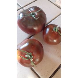 20 Graines De Tomate Noire De Crimée