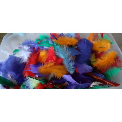 Plumes En Vrac