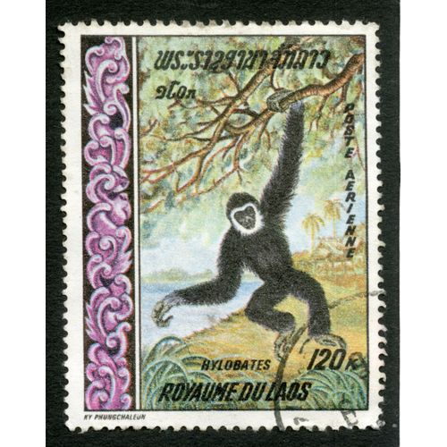 Timbre Oblitéré Royaume Du Laos, Hylobates, Poste Aérienne, 120 K