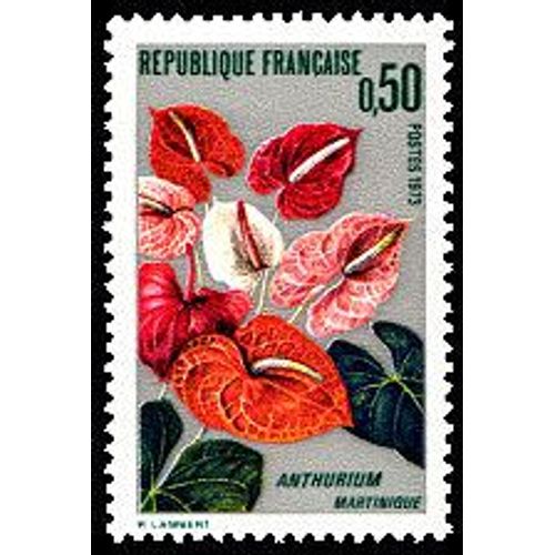 Anthurium - Martinique