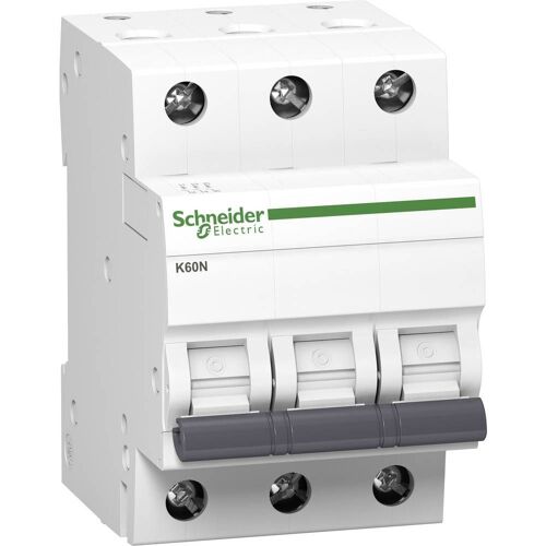Disjoncteur Schneider Electric A9K02325 3814641 25 A