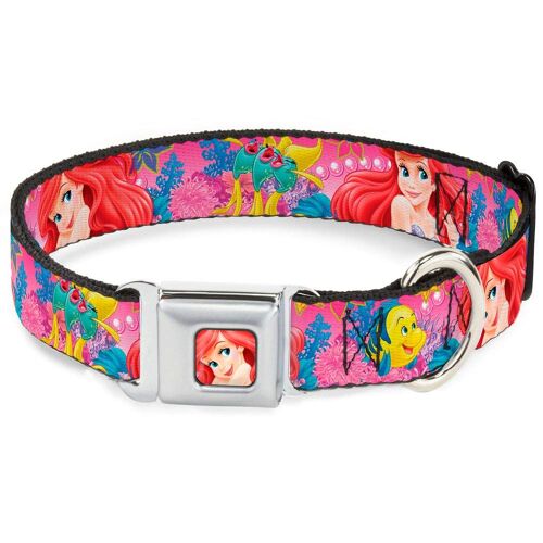 Buckle Down Dydy Ariel Face4 Compl Te Couleur Rose Bleu Collier De Chien