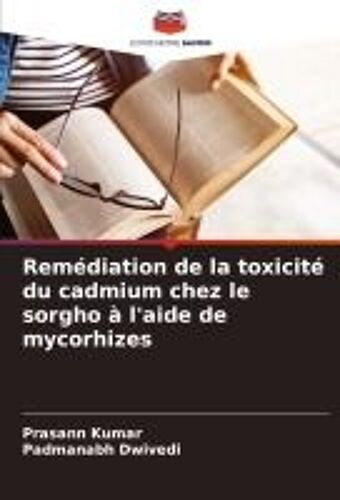 Remédiation De La Toxicité Du Cadmium Chez Le Sorgho À L'aide De Mycorhizes