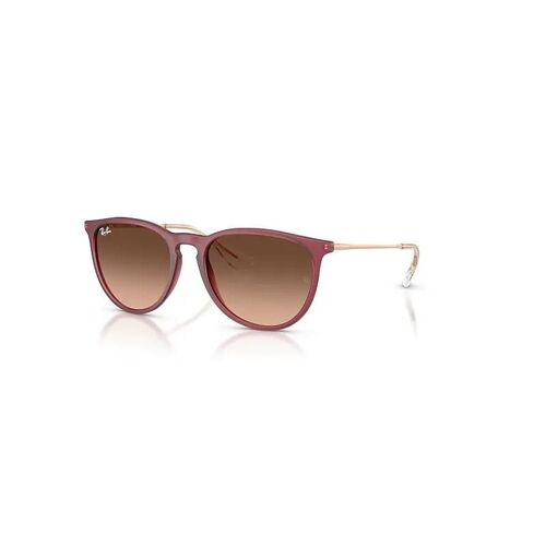 Ray-Ban Erika Classic Lunettes De Soleil Monture Caoutchouc Violet Verres Rose 54-18
