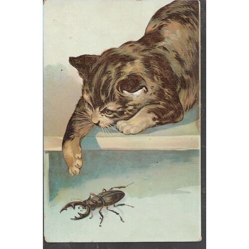Chat Et Scarabée, Kf Ed. Paris