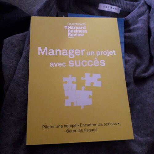 Manager Un Projet Avec Succès