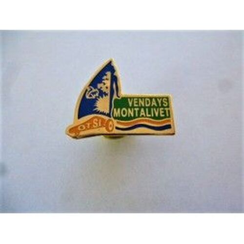 Pins Villes Vendays Montalivet Char A Voile / 33 Gironde