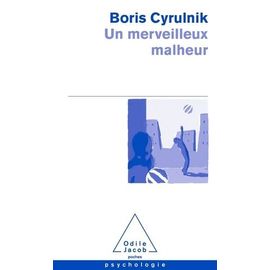 Un Merveilleux Malheur