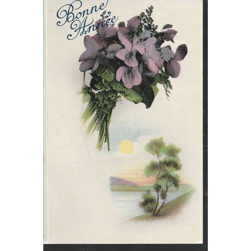 Bouquet De Violettes Sur Paysage De Lac