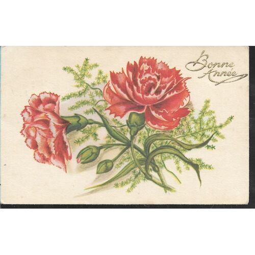 Oeillet Et Gypsophile "Bonne Année"