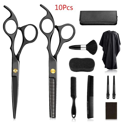 Ciseaux De Coiffure Professionnels 6 Pouces, 10 Pièces, Pour Salon De Coiffure, Coupe, Livraison Directe 