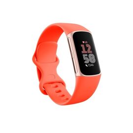 Fitbit Tracker d'activité Google Charge 6 avec abonnement Premium de 6 Mois Inclus, autonomie de la Batterie de 7 Jours et Google