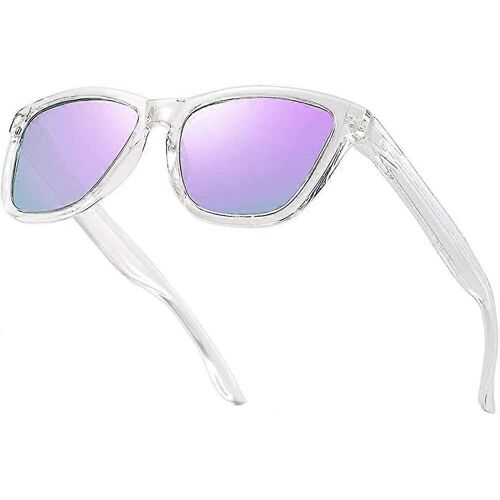 Lunettes De Soleil Polarisées Pour Femmes Hommes Rétro Classique Lunettes De Soleil Nuances