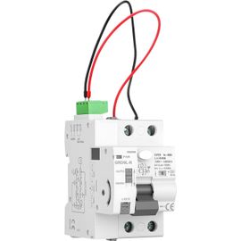 KUIU-Interrupteur Différentiel De Protection Contre Les Pertes Type A 40 A 30 Ma Et Basse Tension Avec Fonction De Réinitialisation Automatique, Interrupteur À 2 Pôles Ca 220 V, Dispositif De Sécurit
