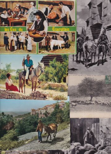 Lot De 7 Cartes Postales Sur Les Anciens Metiers : Avec Animaux : Moutons, Chevaux, Ane